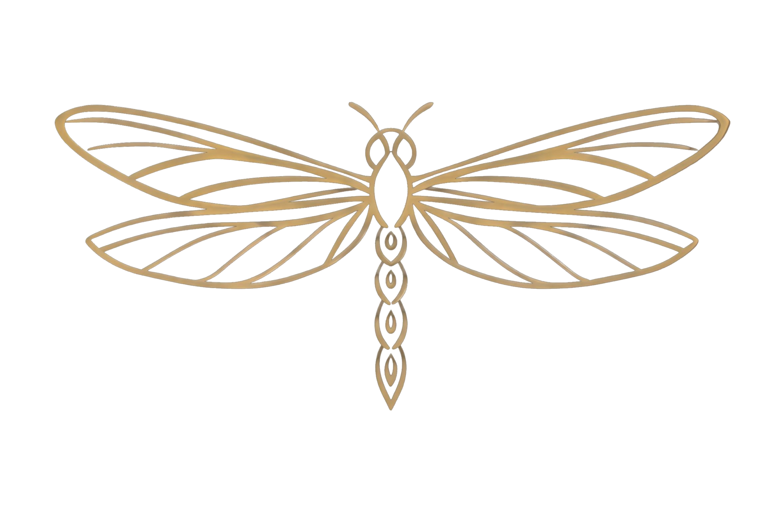 Dragonfly Designs